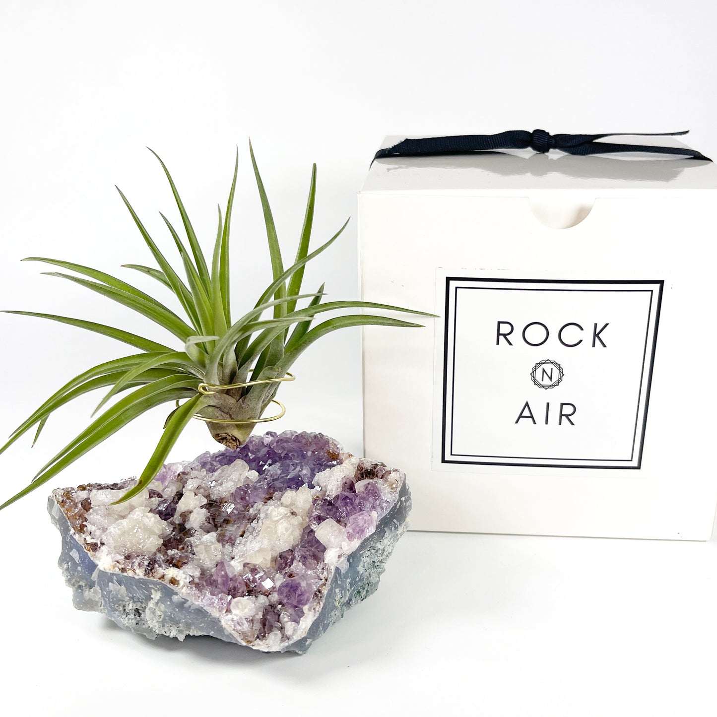 One-of-a-Kind Amethyst Cluster with Calcites Air Plant Holder with Tillandsia Velutina Plant