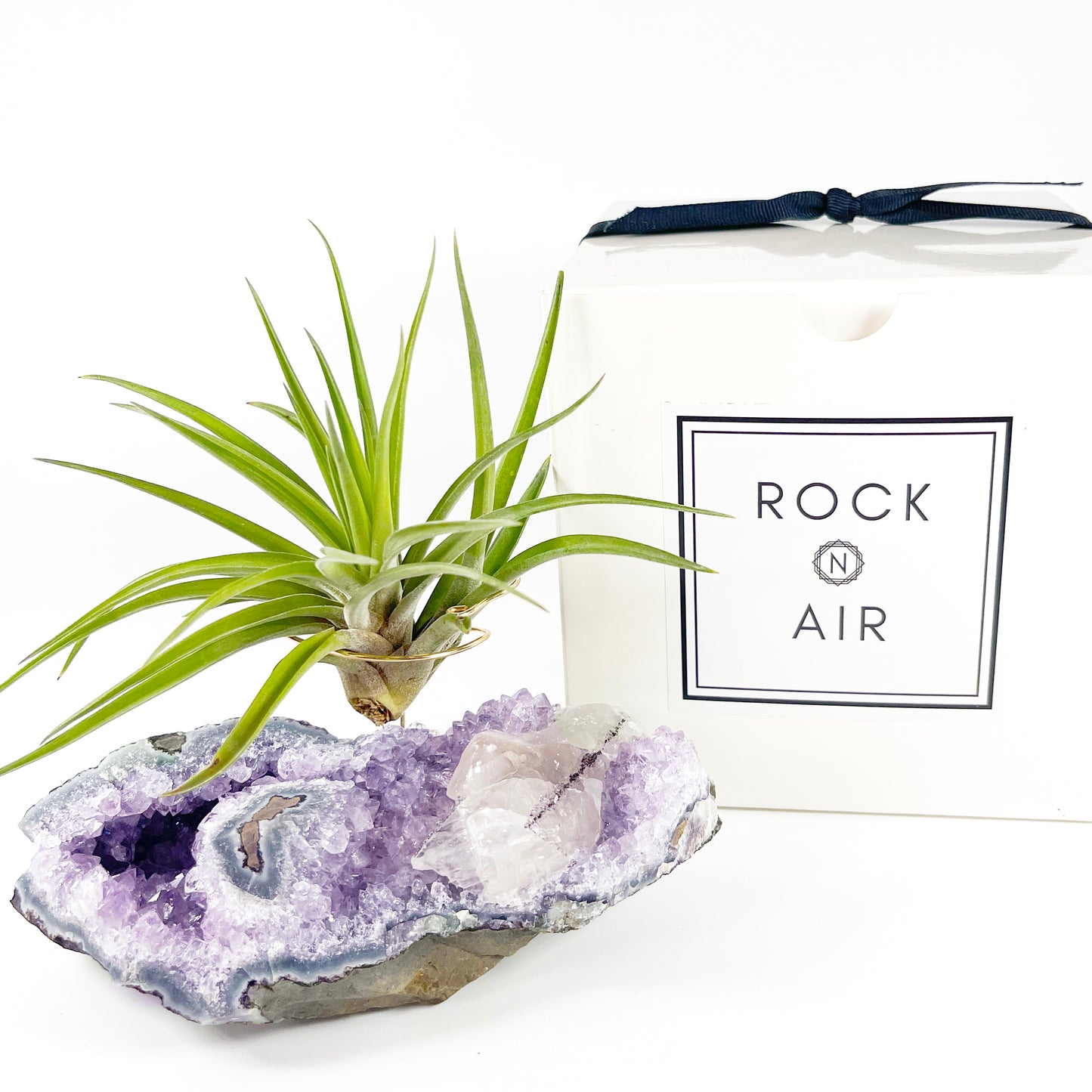 One-of-a-Kind Air Plant Holder made from Large Amethyst Crystal Stalactite with Eye Detail