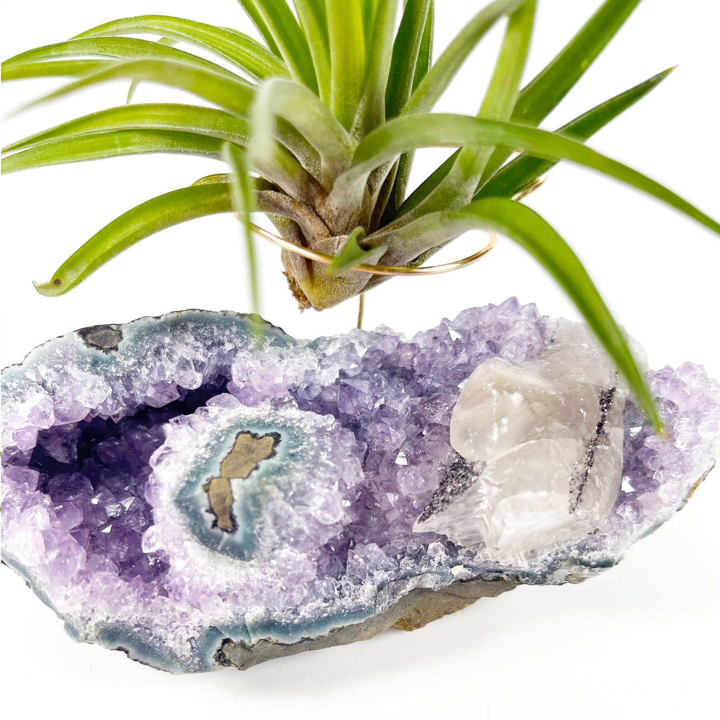 One-of-a-Kind Air Plant Holder made from Large Amethyst Crystal Stalactite with Eye Detail