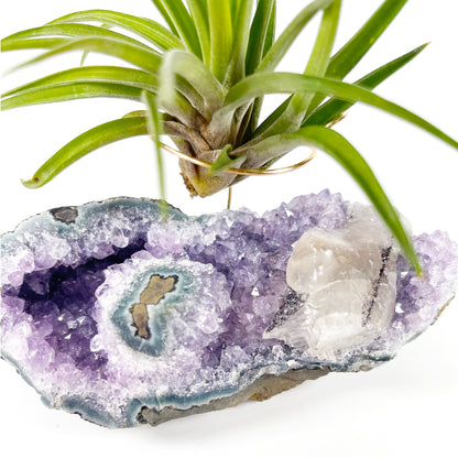 One-of-a-Kind Air Plant Holder made from Large Amethyst Crystal Stalactite with Eye Detail