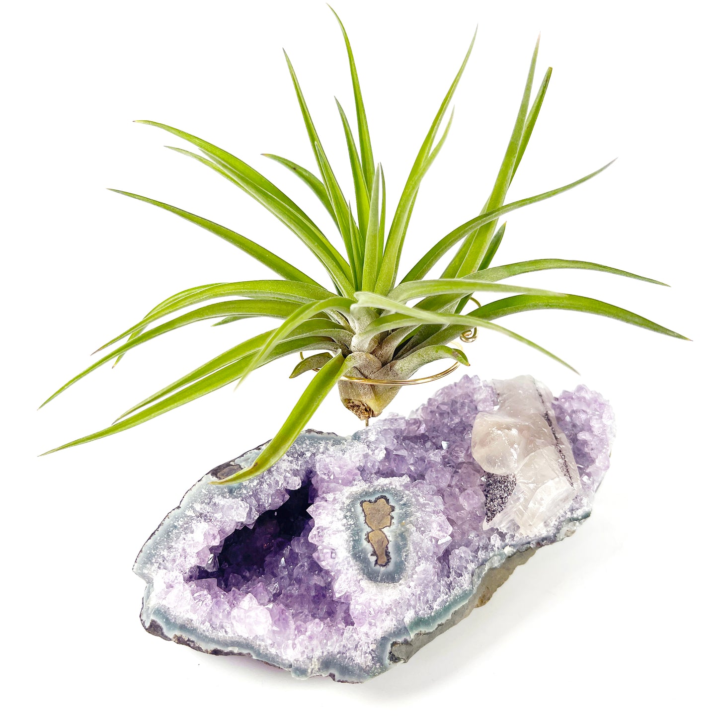 One-of-a-Kind Air Plant Holder made from Large Amethyst Crystal Stalactite with Eye Detail