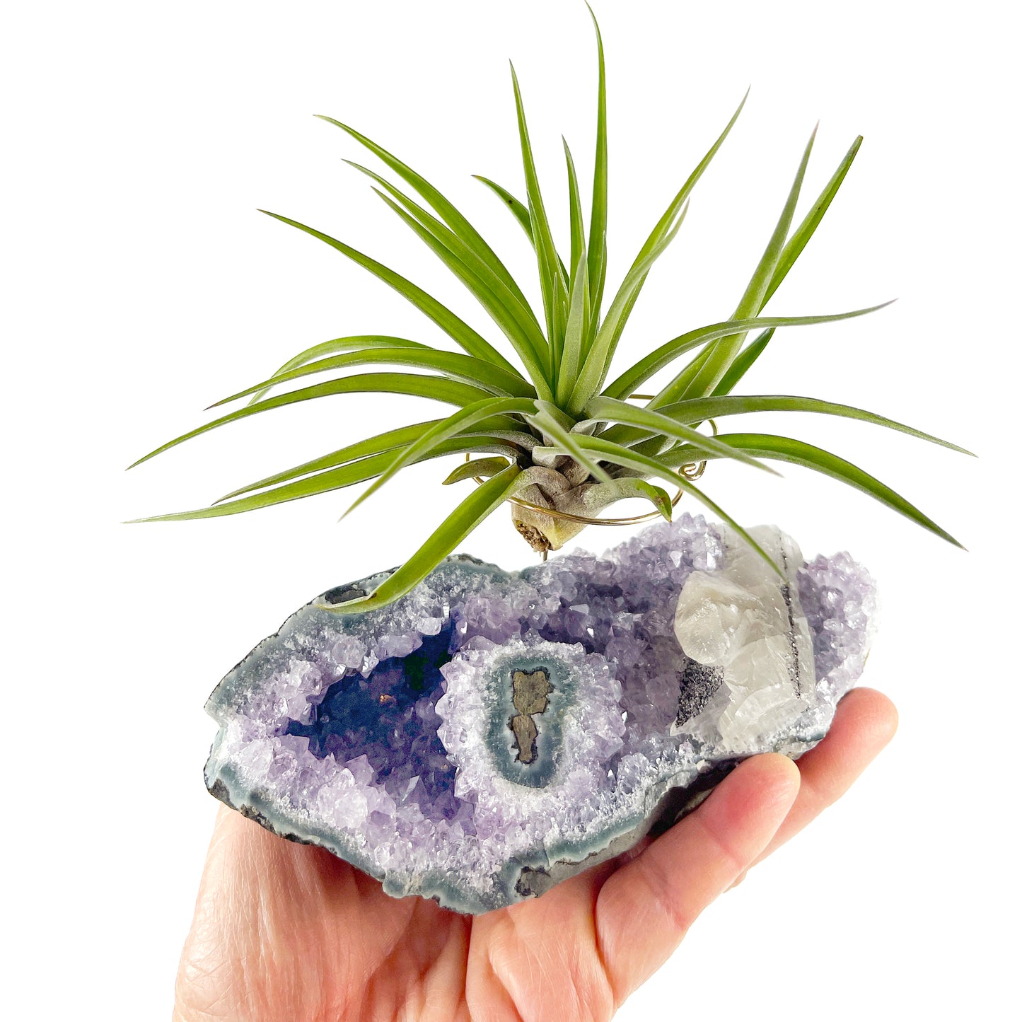 One-of-a-Kind Air Plant Holder made from Large Amethyst Crystal Stalactite with Eye Detail