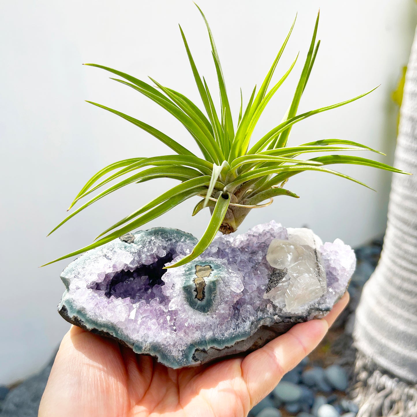 One-of-a-Kind Air Plant Holder made from Large Amethyst Crystal Stalactite with Eye Detail