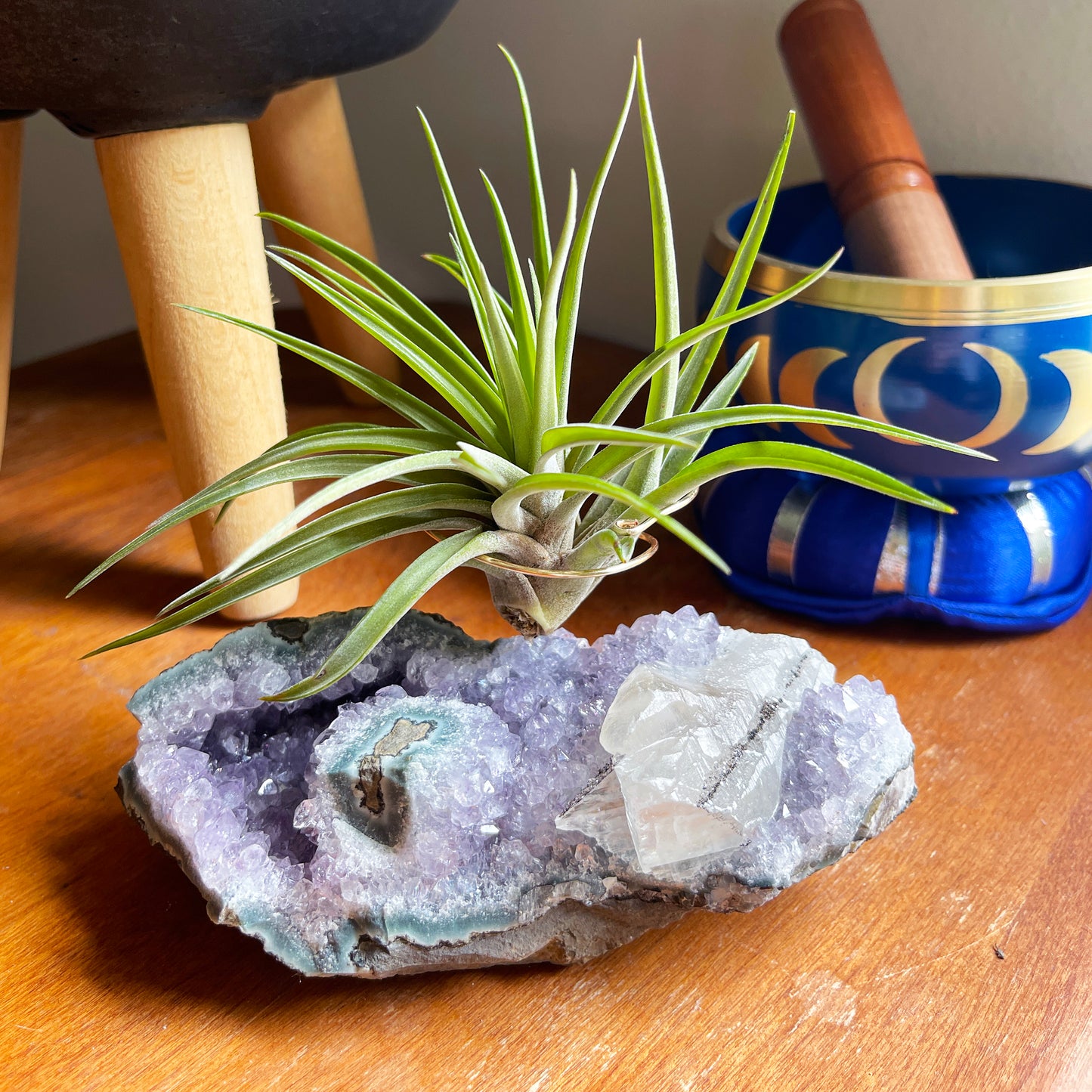 One-of-a-Kind Air Plant Holder made from Large Amethyst Crystal Stalactite with Eye Detail
