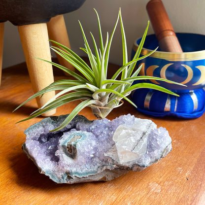 One-of-a-Kind Air Plant Holder made from Large Amethyst Crystal Stalactite with Eye Detail