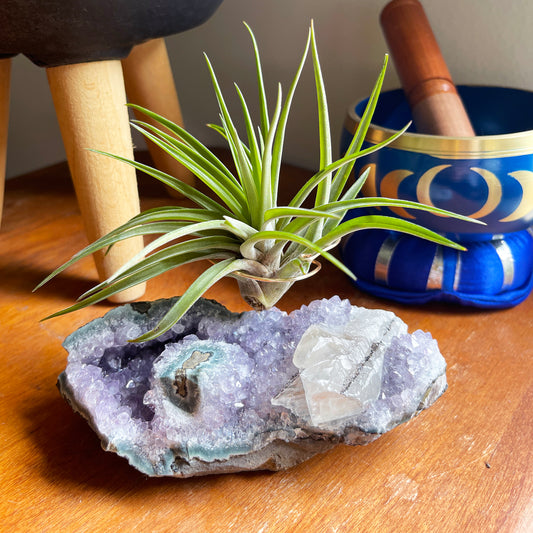 One-of-a-Kind Air Plant Holder made from Large Amethyst Crystal Stalactite with Eye Detail