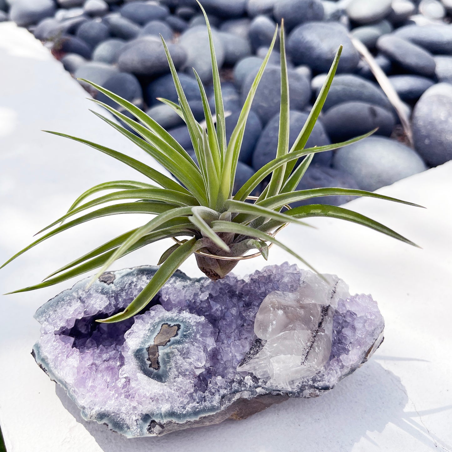 One-of-a-Kind Air Plant Holder made from Large Amethyst Crystal Stalactite with Eye Detail