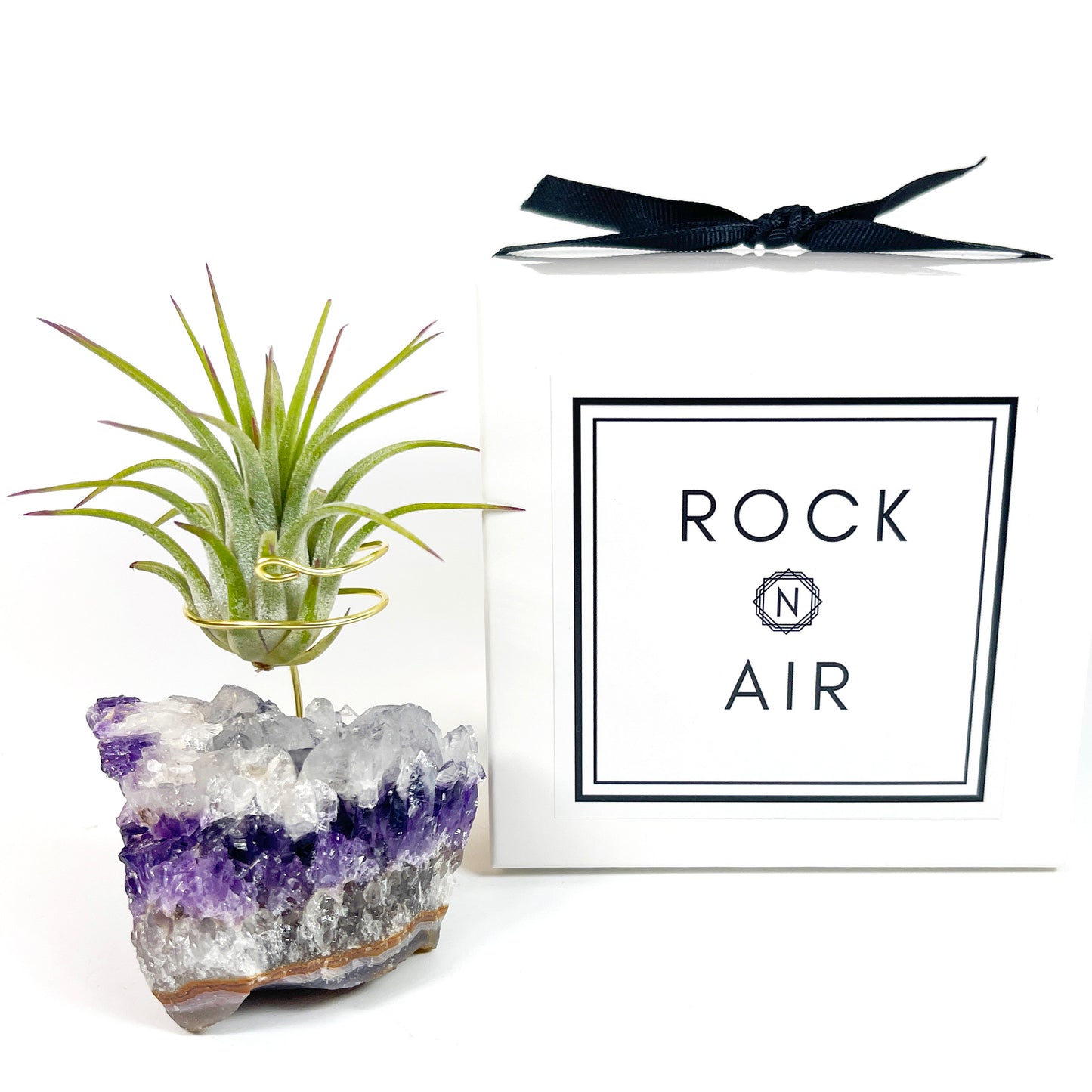 Unique Amethyst Geode with White Calcite Air Plant Holder - One of a Kind Plant and Crystal Gift