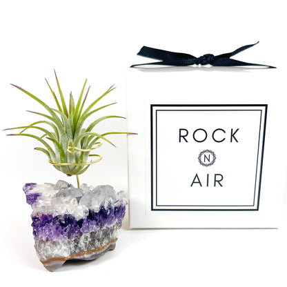 Unique Amethyst Geode with White Calcite Air Plant Holder - One of a Kind Plant and Crystal Gift