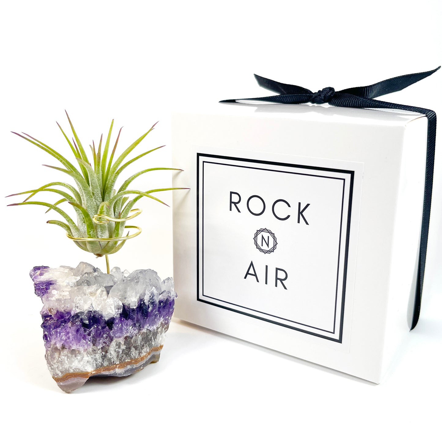 Unique Amethyst Geode with White Calcite Air Plant Holder - One of a Kind Plant and Crystal Gift