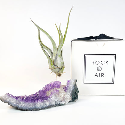 Amethyst with Calcite Crystal Air Plant Holder - One of a Kind Crystal Gift