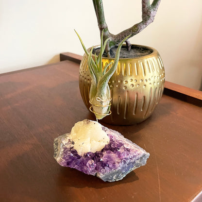 One-of-a-Kind Amethyst with Extra Large Calcite Crystal Air Plant Holder - Includes Gift Box and Healthy Air Plant
