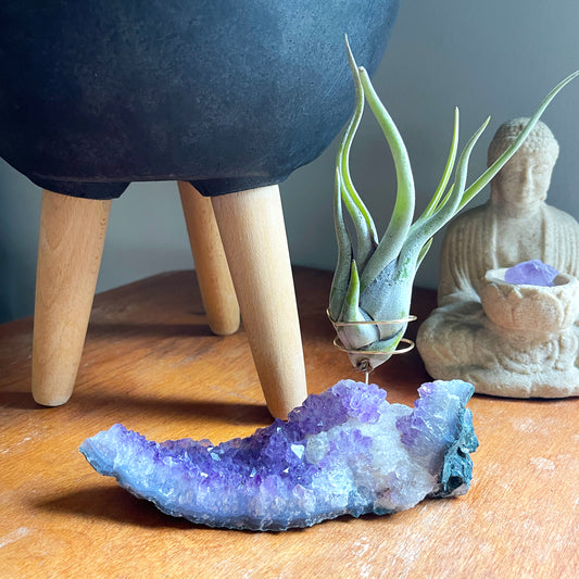 Amethyst with Calcite Crystal Air Plant Holder - One of a Kind Crystal Gift