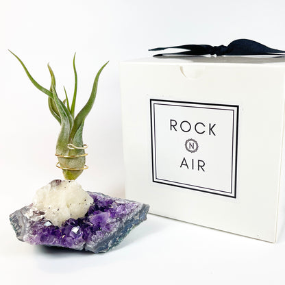 One-of-a-Kind Amethyst with Extra Large Calcite Crystal Air Plant Holder - Includes Gift Box and Healthy Air Plant
