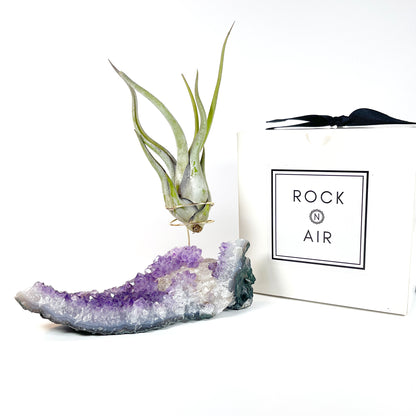 Amethyst with Calcite Crystal Air Plant Holder - One of a Kind Crystal Gift