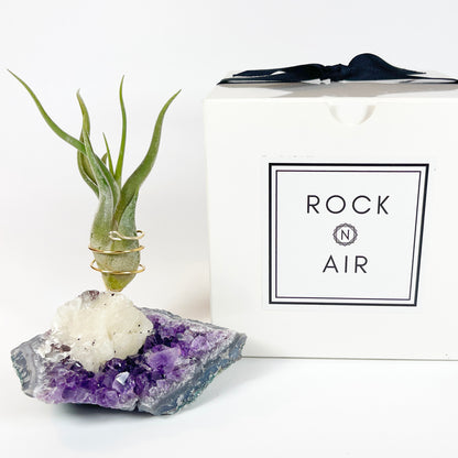 One-of-a-Kind Amethyst with Extra Large Calcite Crystal Air Plant Holder - Includes Gift Box and Healthy Air Plant