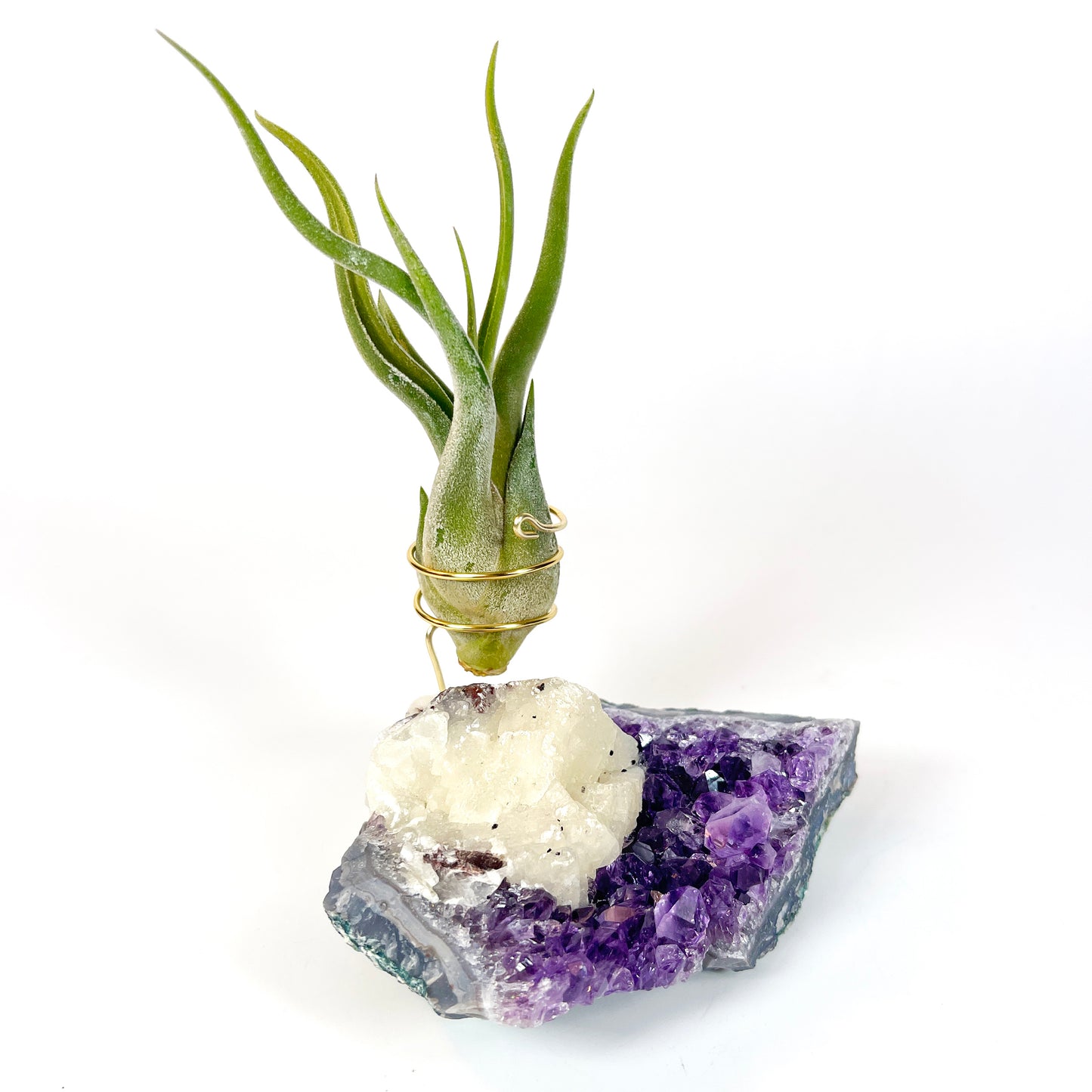 One-of-a-Kind Amethyst with Extra Large Calcite Crystal Air Plant Holder - Includes Gift Box and Healthy Air Plant