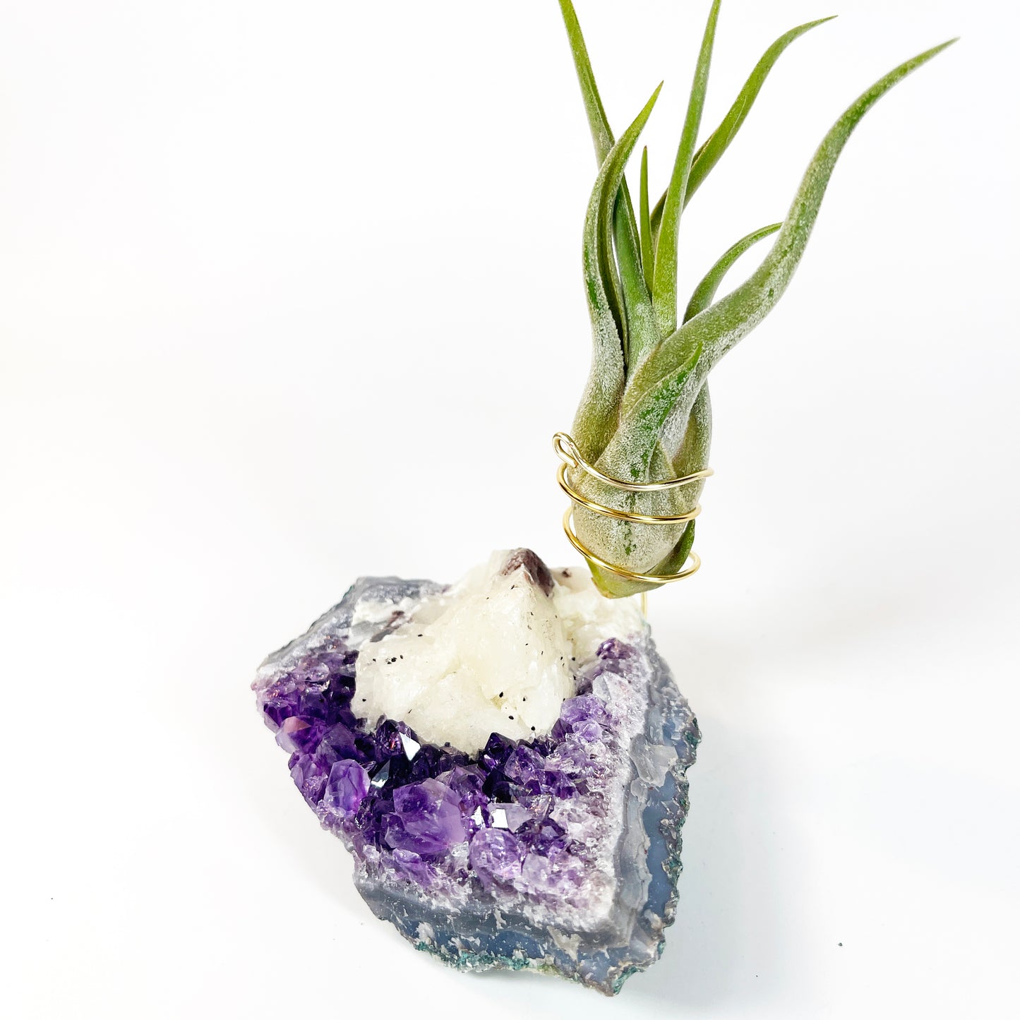 One-of-a-Kind Amethyst with Extra Large Calcite Crystal Air Plant Holder - Includes Gift Box and Healthy Air Plant
