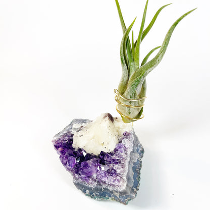 One-of-a-Kind Amethyst with Extra Large Calcite Crystal Air Plant Holder - Includes Gift Box and Healthy Air Plant