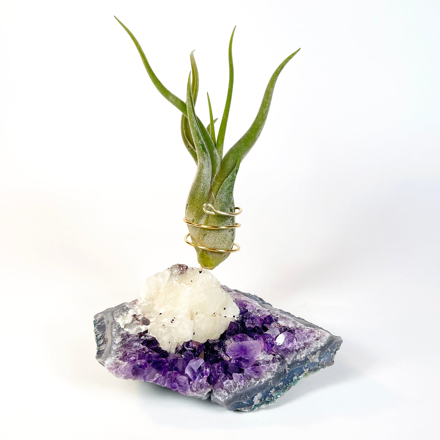 One-of-a-Kind Amethyst with Extra Large Calcite Crystal Air Plant Holder - Includes Gift Box and Healthy Air Plant