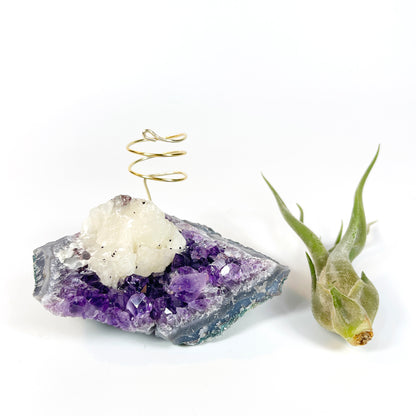 One-of-a-Kind Amethyst with Extra Large Calcite Crystal Air Plant Holder - Includes Gift Box and Healthy Air Plant