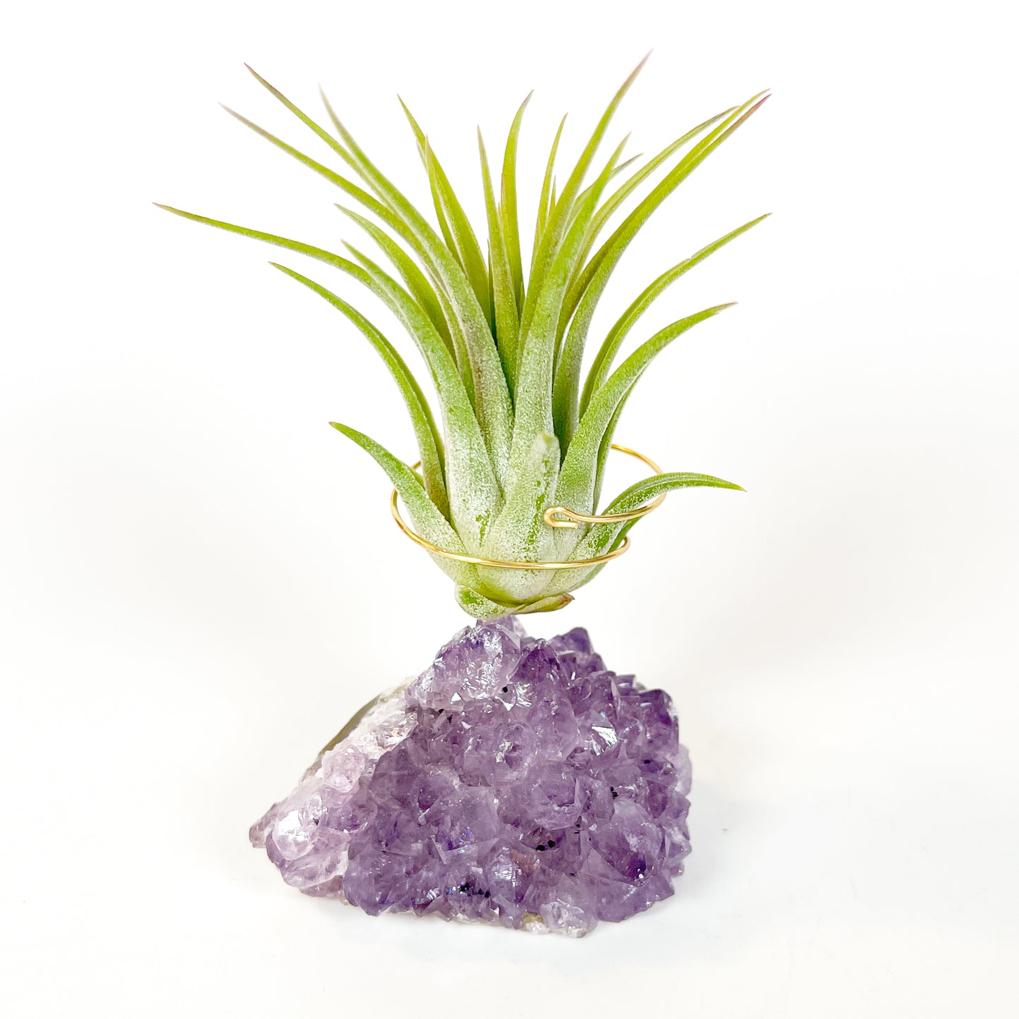 Mother's Day Gift for Crystal Lovers - Amethyst Crystal Air Plant Holder - Includes Tillandsia Plant and Love You! Gift Box