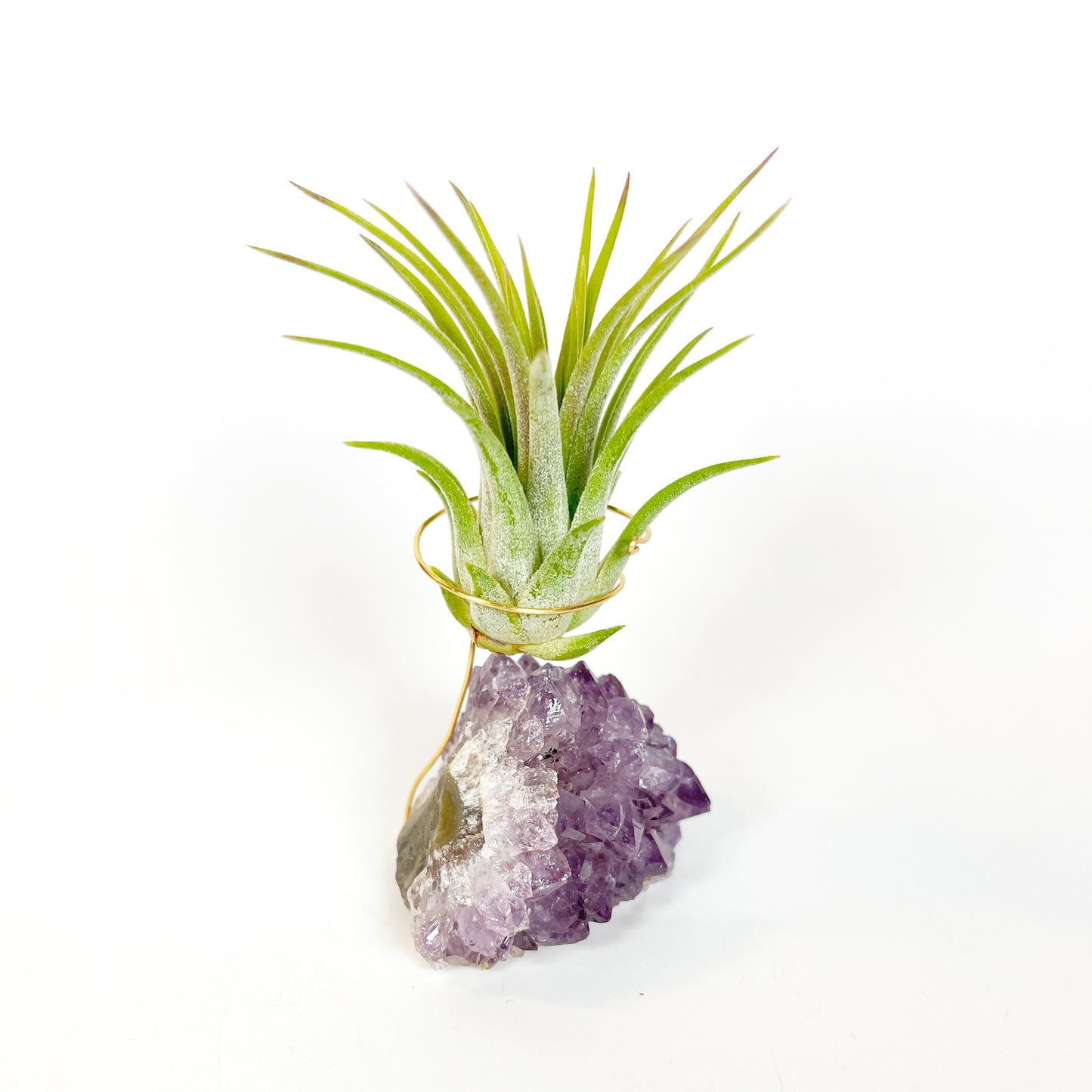 Mother's Day Gift for Crystal Lovers - Amethyst Crystal Air Plant Holder - Includes Tillandsia Plant and Love You! Gift Box