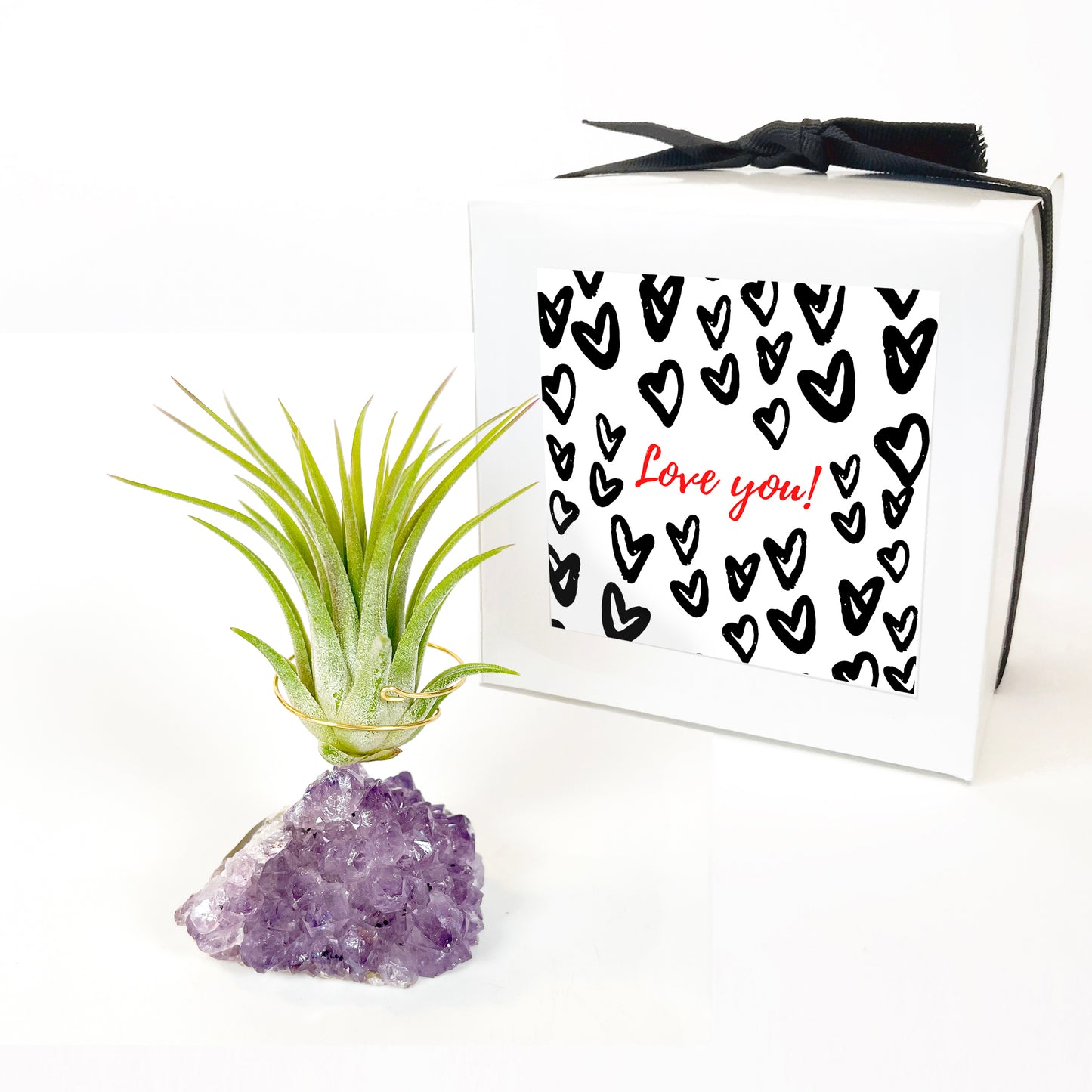 Mother's Day Gift for Crystal Lovers - Amethyst Crystal Air Plant Holder - Includes Tillandsia Plant and Love You! Gift Box