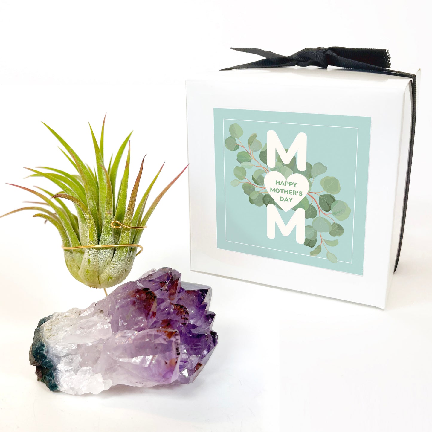 Mother's Day Gift for Plant Lovers - One-of-a-Kind Amethyst Gemstone Air Plant Holder - Includes Tillandsia Plant and MOM Gift Box