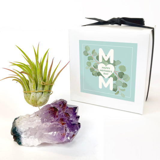 Mother's Day Gift for Plant Lovers - One-of-a-Kind Amethyst Gemstone Air Plant Holder - Includes Tillandsia Plant and MOM Gift Box