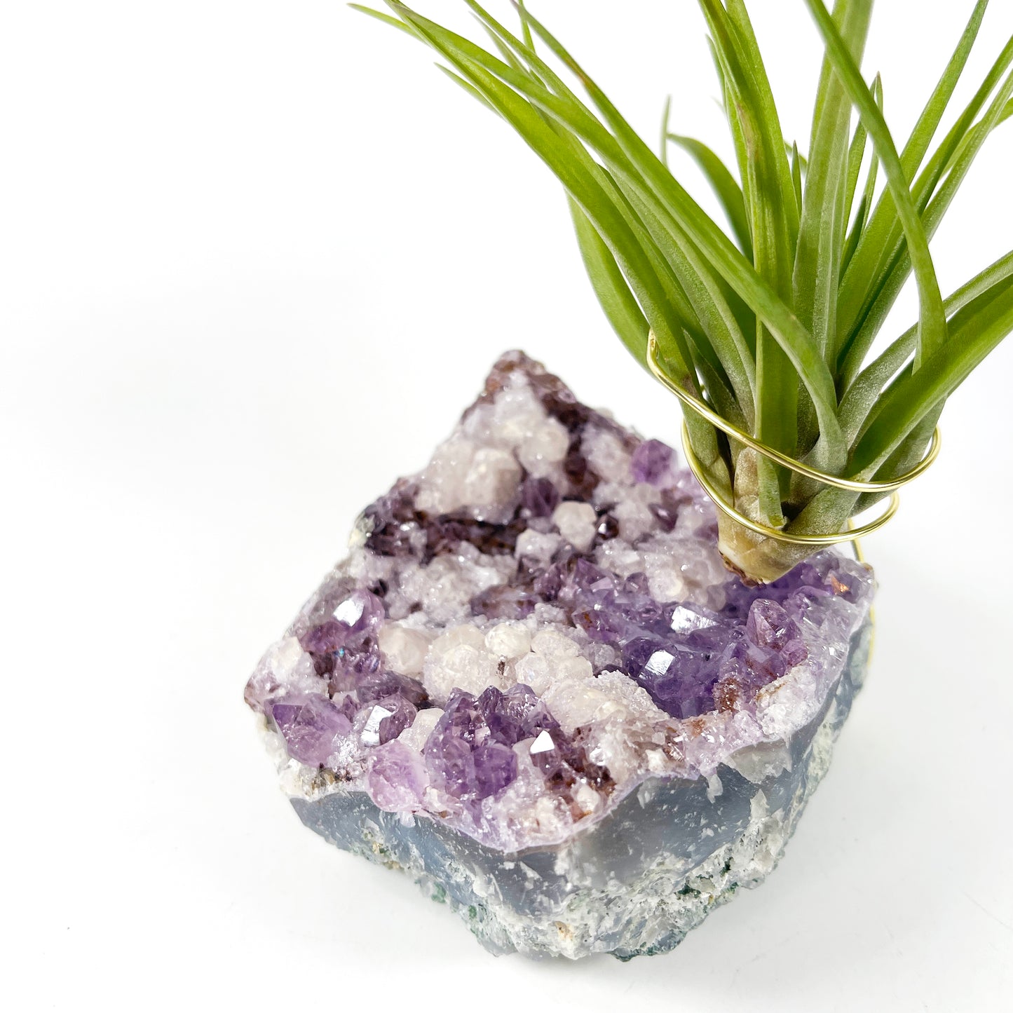 One-of-a-Kind Amethyst Cluster with Calcites Air Plant Holder with Tillandsia Velutina Plant