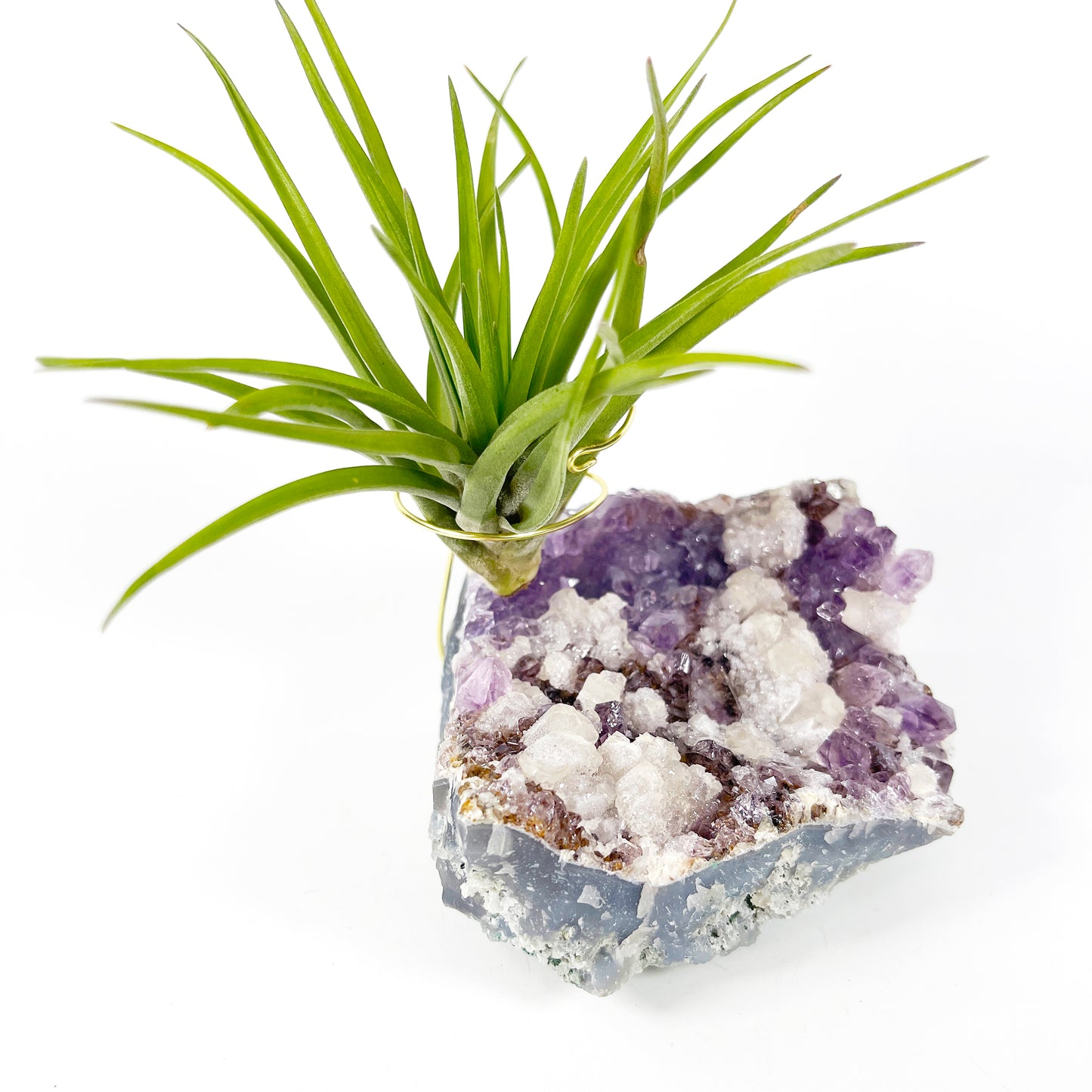 One-of-a-Kind Amethyst Cluster with Calcites Air Plant Holder with Tillandsia Velutina Plant