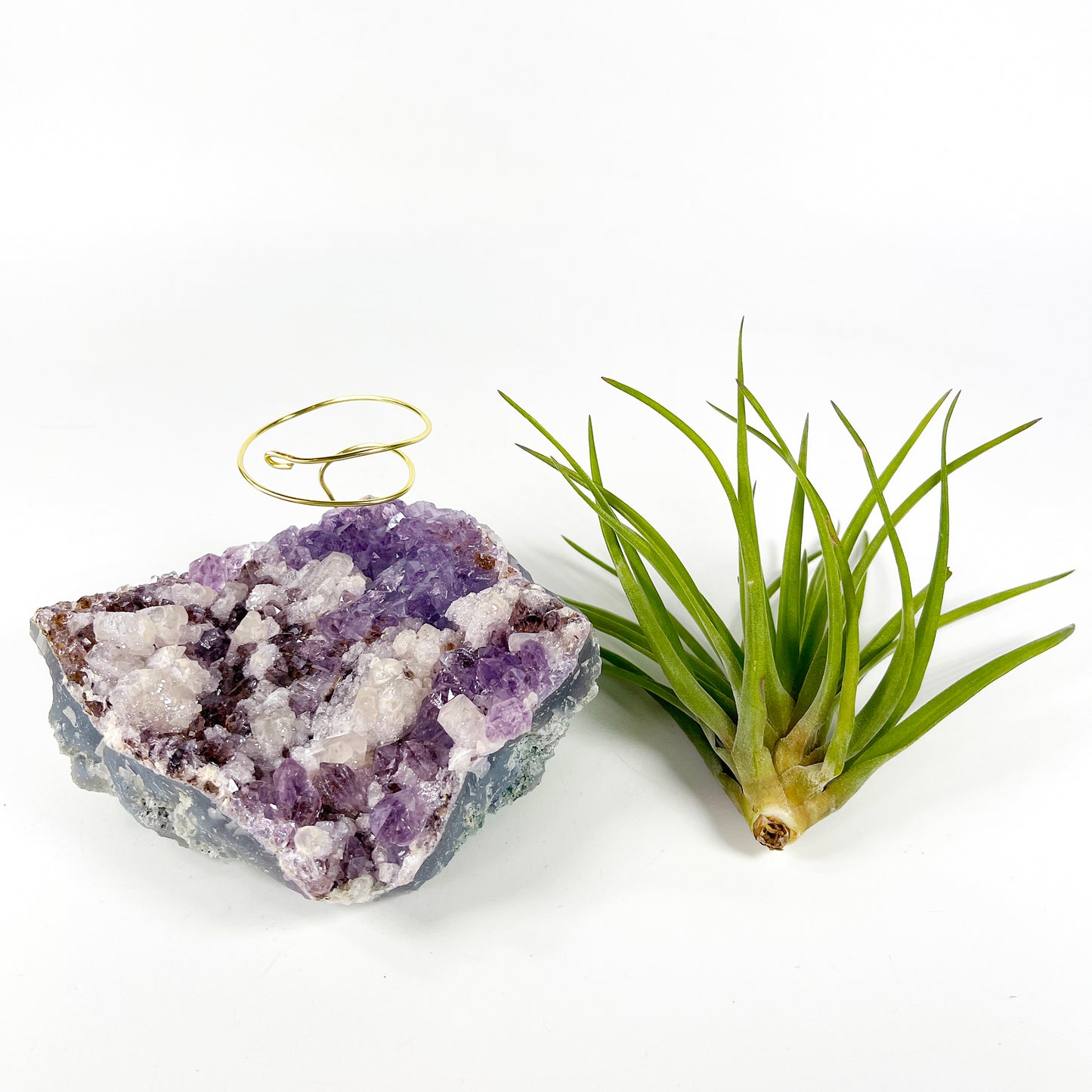 One-of-a-Kind Amethyst Cluster with Calcites Air Plant Holder with Tillandsia Velutina Plant