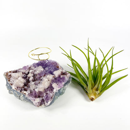 One-of-a-Kind Amethyst Cluster with Calcites Air Plant Holder with Tillandsia Velutina Plant