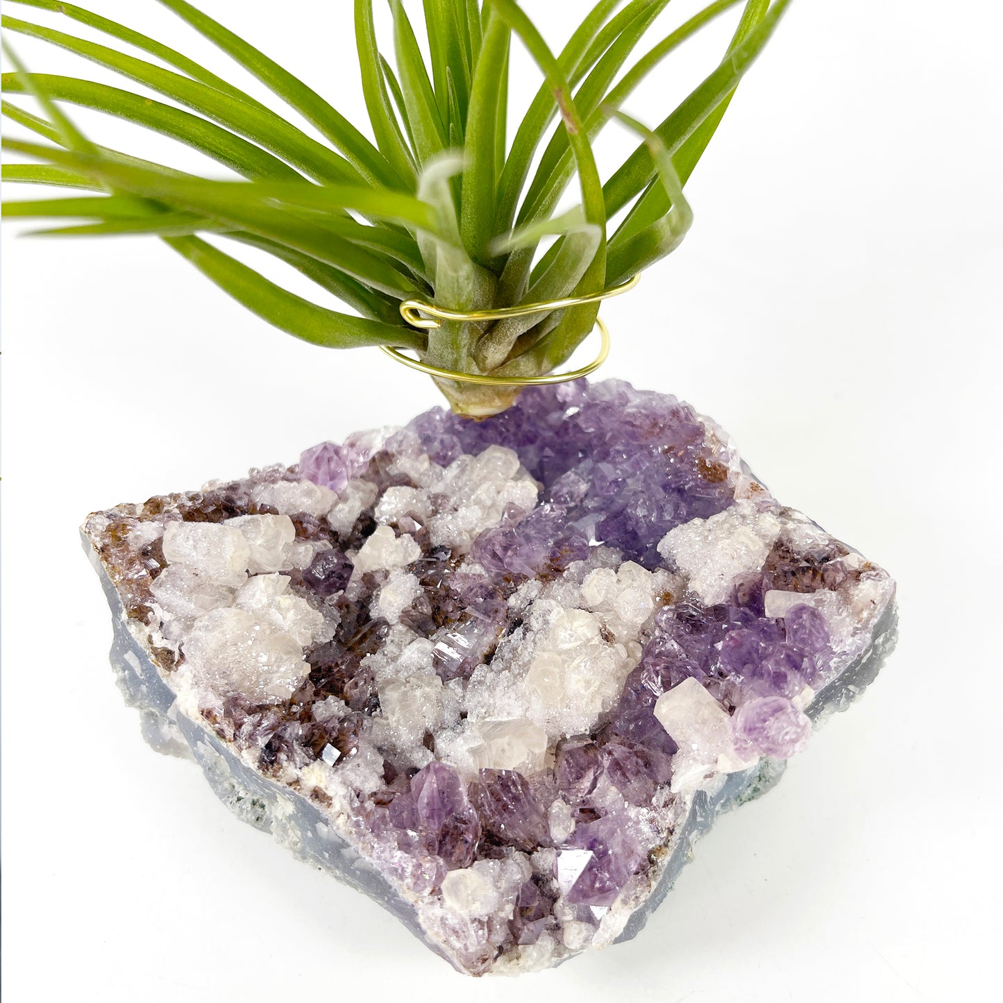 One-of-a-Kind Amethyst Cluster with Calcites Air Plant Holder with Tillandsia Velutina Plant