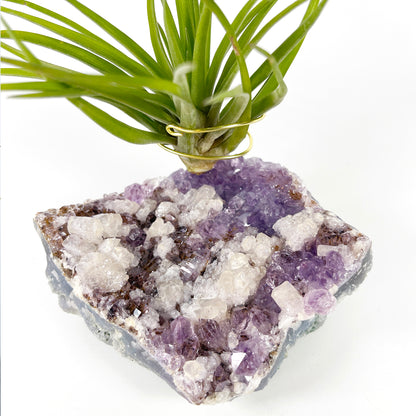 One-of-a-Kind Amethyst Cluster with Calcites Air Plant Holder with Tillandsia Velutina Plant