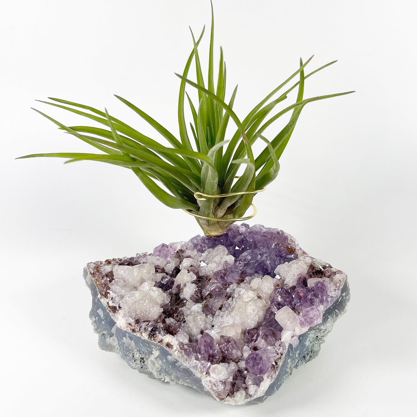 One-of-a-Kind Amethyst Cluster with Calcites Air Plant Holder with Tillandsia Velutina Plant
