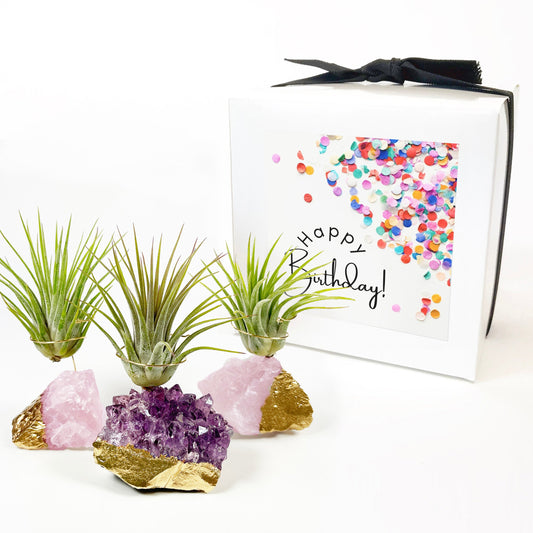 Unique Birthday Gift - Small Gold Dipped Amethyst / Rose Quartz Crystal Air Plant Holders (Set of 3)