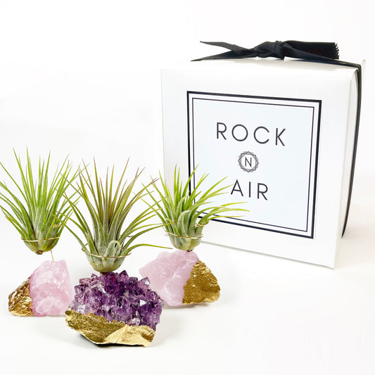 Mother's Day Gift - Small Gold Dipped Amethyst / Rose Quartz Crystal Air Plant Holders (Set of 3)