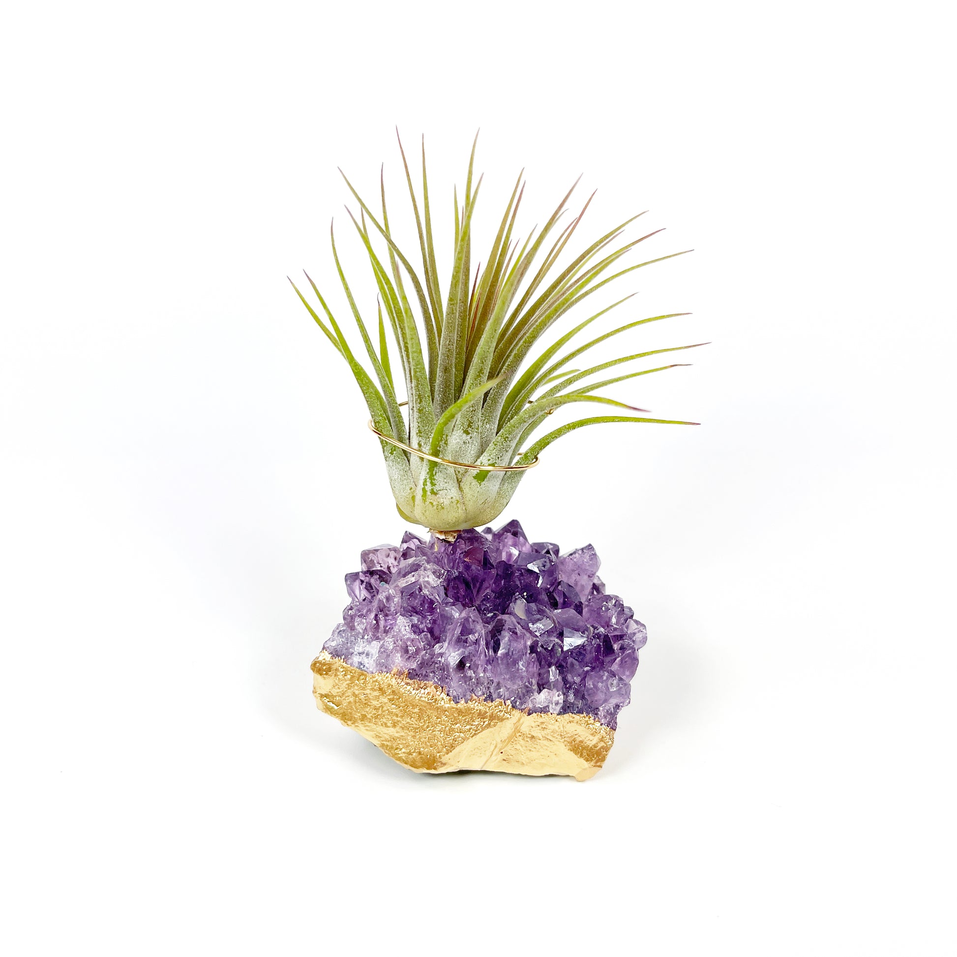 amethyst crystal air plant Small Gold Dipped Amethyst / Rose Quartz Crystal Air Plant Holders (Set of 3)