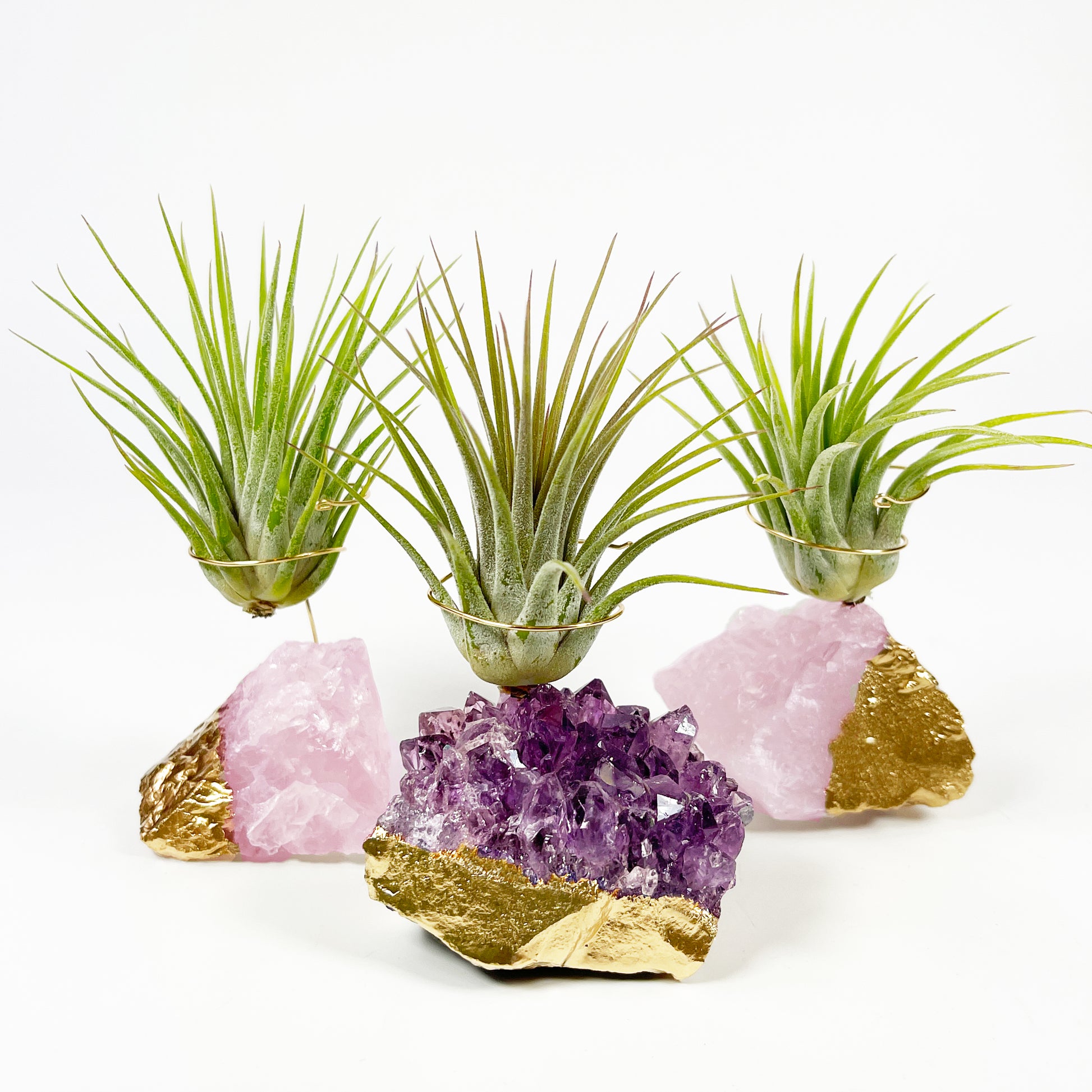 amethyst air plant holder Small Gold Dipped Amethyst / Rose Quartz Crystal Air Plant Holders (Set of 3)