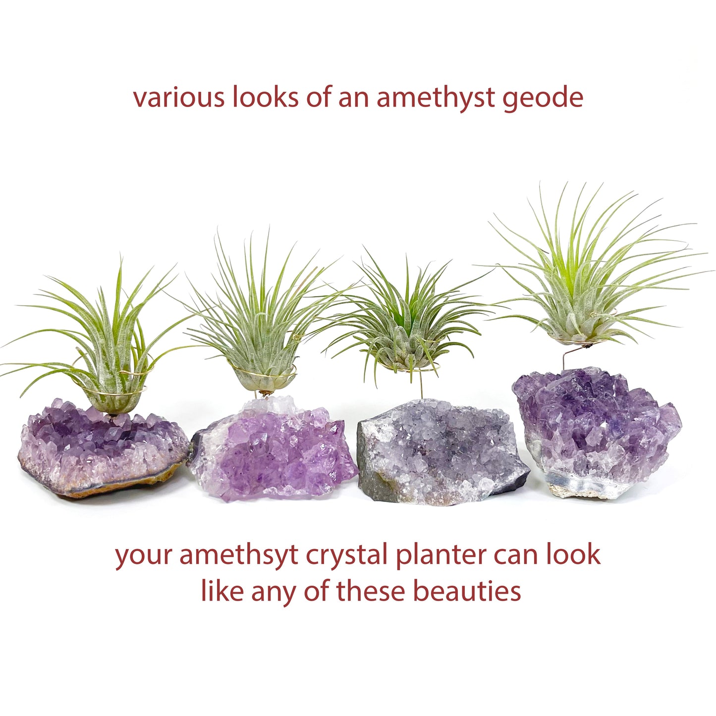 Unique Birthday Gift - Small Amethyst Air Plant Holders (Set of 3)