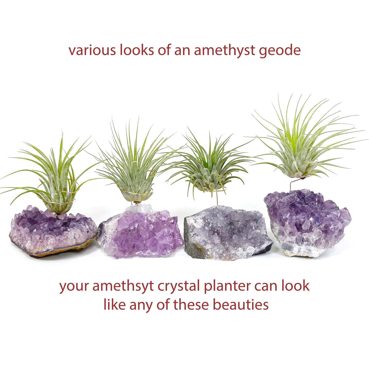 Amethyst Crystal Air Plant Holder Gift – Unique Thank You Gift Box with Live Air Plant