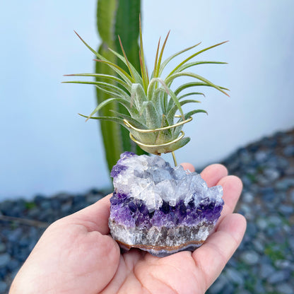 Unique Amethyst Geode with White Calcite Air Plant Holder - One of a Kind Plant and Crystal Gift