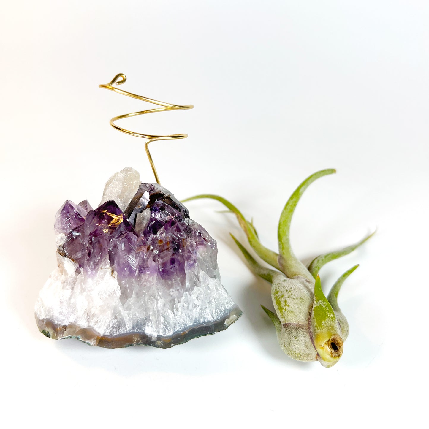 One-of-a-kind Purple Amethyst Crystal with Calcite Point Air Plant Holder - Includes Gift Box and Healthy Air Plant