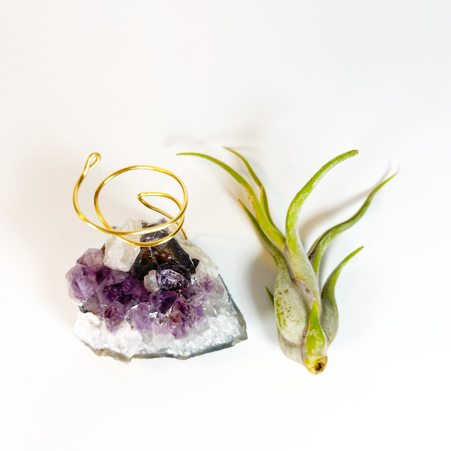 One-of-a-kind Purple Amethyst Crystal with Calcite Point Air Plant Holder - Includes Gift Box and Healthy Air Plant