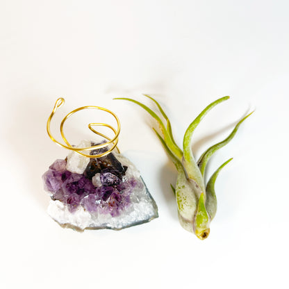 One-of-a-kind Purple Amethyst Crystal with Calcite Point Air Plant Holder - Includes Gift Box and Healthy Air Plant