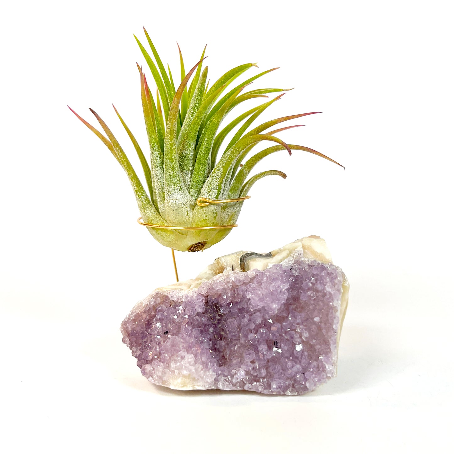 Mother's Day Gift for Plant Lovers - One-of-a-Kind Amethyst Crystal Air Plant Holder - Includes Tillandsia Plant and MOM Gift Box