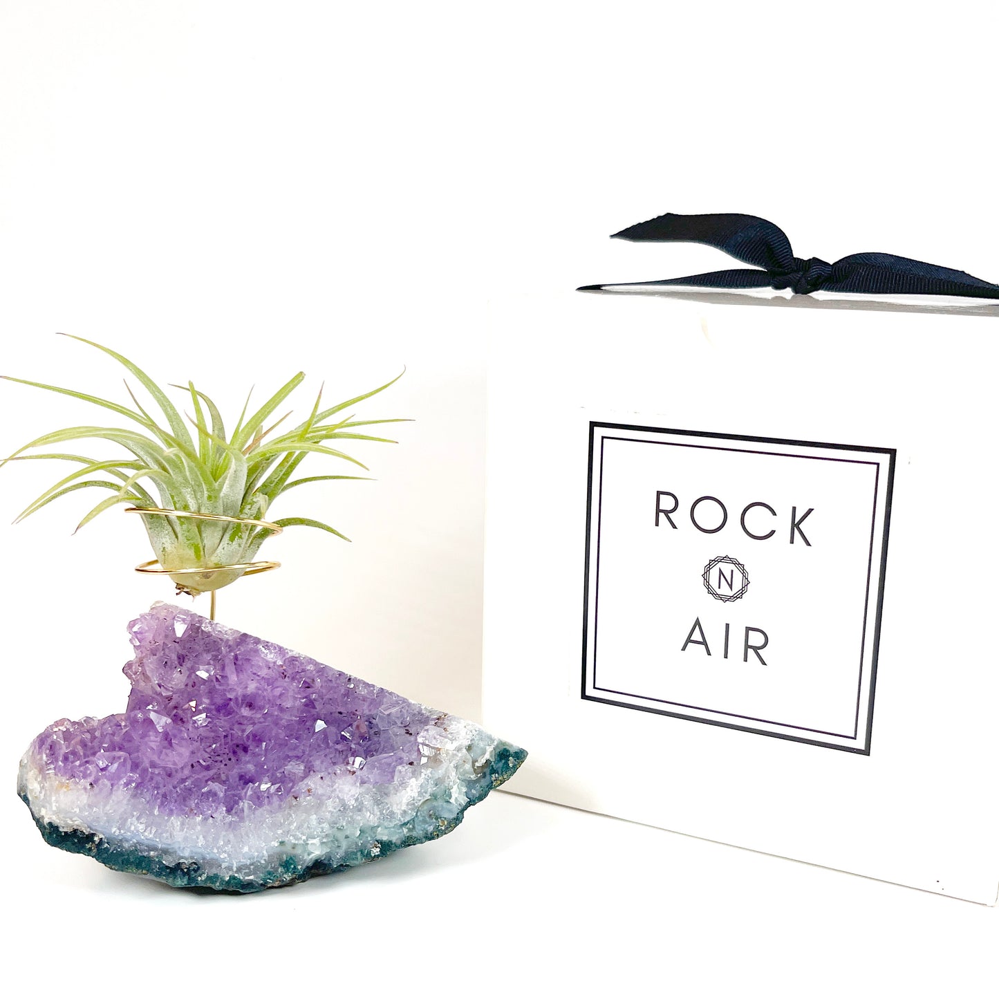 One-of-a-Kind Standing Amethyst Crystal Tillandsia Air Plant Holder - Zen Plant and Crystal Decor