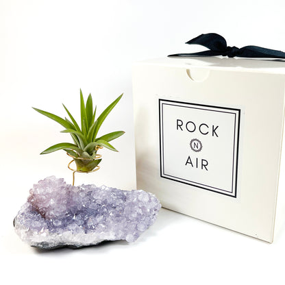 Gift for Plant and Crystal Lovers- Rare Light Purple Amethyst Geode Air Plant Holder